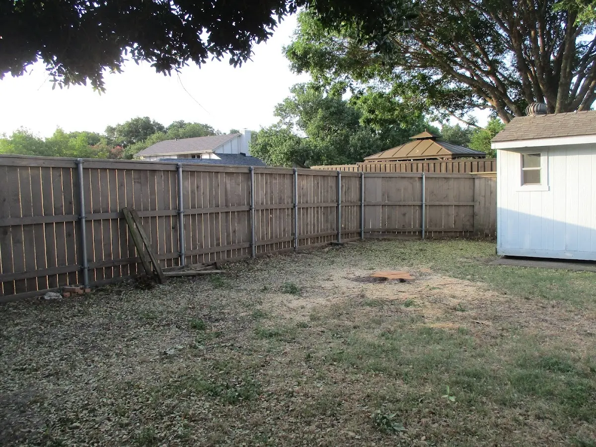 Cleared yard after professional tree removal in Whitesburg